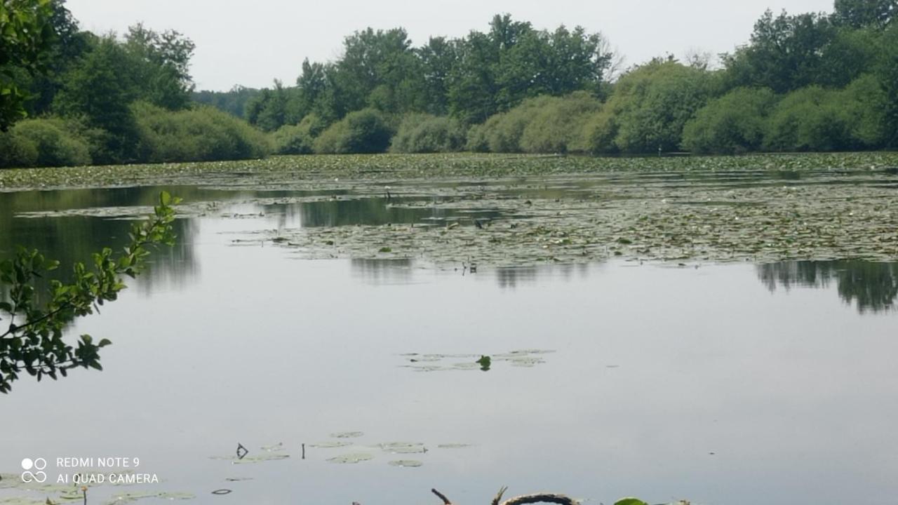 Maison De Ferme Au Calme Jusqu'a 10 Personnes Villa Gannay-sur-Loire